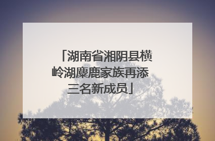湖南省湘阴县横岭湖麋鹿家族再添三名新成员