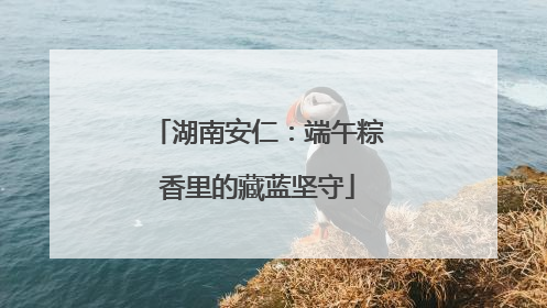 湖南安仁：端午粽香里的藏蓝坚守