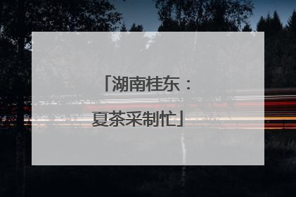 湖南桂东：夏茶采制忙