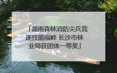 湖南森林消防尖兵竞逐技能巅峰 长沙市林业局获团体一等奖