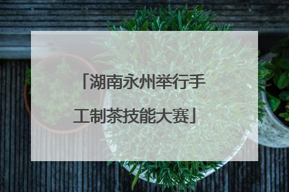 湖南永州举行手工制茶技能大赛