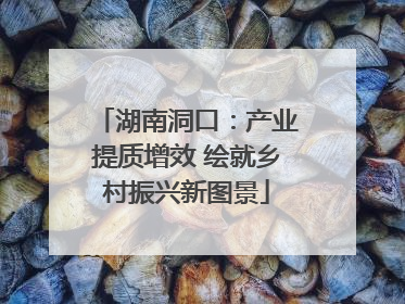 湖南洞口：产业提质增效 绘就乡村振兴新图景