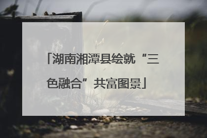 湖南湘潭县绘就“三色融合”共富图景