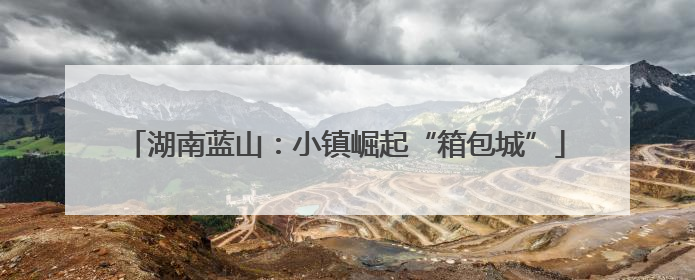 湖南蓝山：小镇崛起“箱包城”