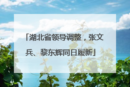 湖北省领导调整，张文兵、黎东辉同日履新