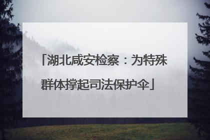 湖北咸安检察：为特殊群体撑起司法保护伞