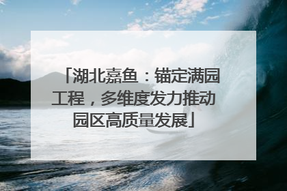 湖北嘉鱼：锚定满园工程，多维度发力推动园区高质量发展