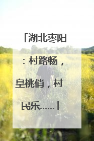 湖北枣阳：村路畅，皇桃俏，村民乐……