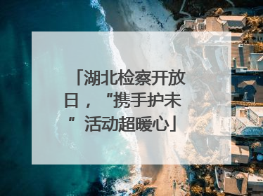 湖北检察开放日，“携手护未”活动超暖心