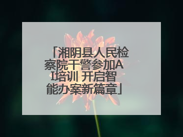 湘阴县人民检察院干警参加AI培训 开启智能办案新篇章