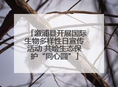 溆浦县开展国际生物多样性日宣传活动 共绘生态保护“同心圆”