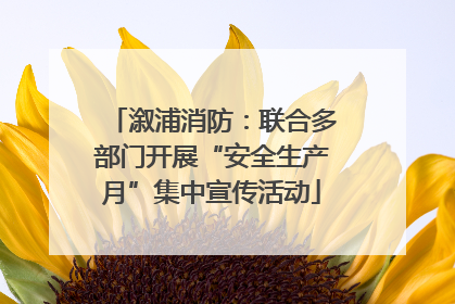 溆浦消防：联合多部门开展“安全生产月”集中宣传活动