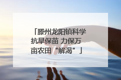 滕州龙阳镇科学抗旱保苗 力保万亩农田“解渴”