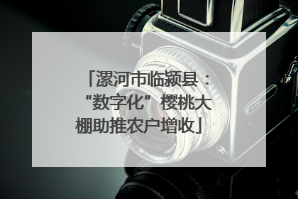 漯河市临颍县：“数字化”樱桃大棚助推农户增收