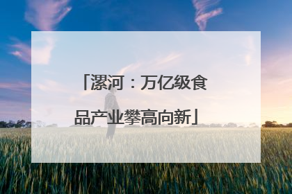 漯河：万亿级食品产业攀高向新