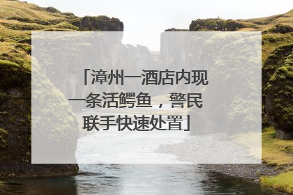 漳州一酒店内现一条活鳄鱼，警民联手快速处置