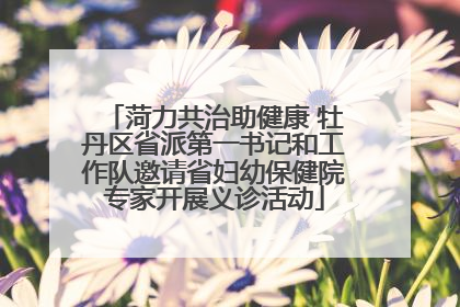 菏力共治助健康 牡丹区省派第一书记和工作队邀请省妇幼保健院专家开展义诊活动