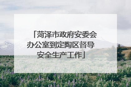 菏泽市政府安委会办公室到定陶区督导安全生产工作