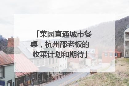 菜园直通城市餐桌，杭州邵老板的收菜计划和期待