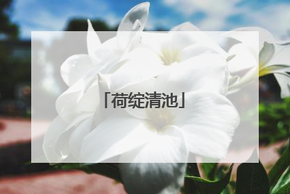 荷绽清池