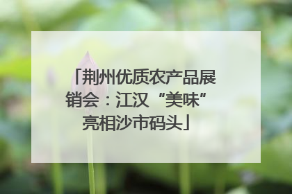 荆州优质农产品展销会：江汉“美味”亮相沙市码头