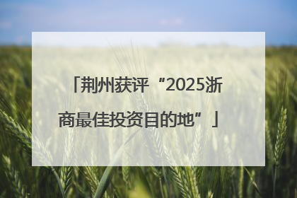 荆州获评“2025浙商最佳投资目的地”