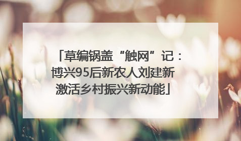 草编锅盖“触网”记：博兴95后新农人刘建新激活乡村振兴新动能
