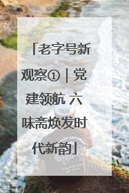 老字号新观察①｜党建领航 六味斋焕发时代新韵