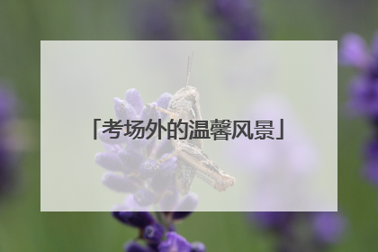 考场外的温馨风景