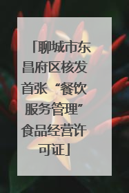 聊城市东昌府区核发首张“餐饮服务管理”食品经营许可证