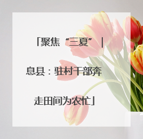 聚焦“三夏”｜息县：驻村干部奔走田间为农忙