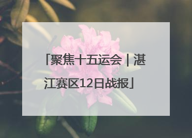 聚焦十五运会｜湛江赛区12日战报