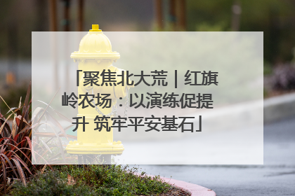 聚焦北大荒｜红旗岭农场：以演练促提升 筑牢平安基石