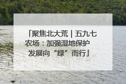 聚焦北大荒｜五九七农场：加强湿地保护 发展向“绿”而行