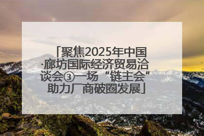 聚焦2025年中国·廊坊国际经济贸易洽谈会③一场“链主会” 助力厂商破圈发展