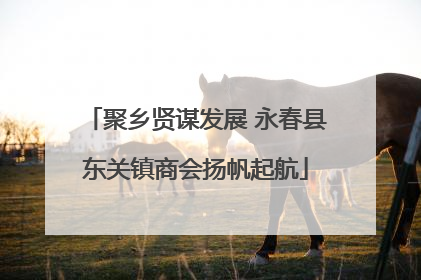 聚乡贤谋发展 永春县东关镇商会扬帆起航