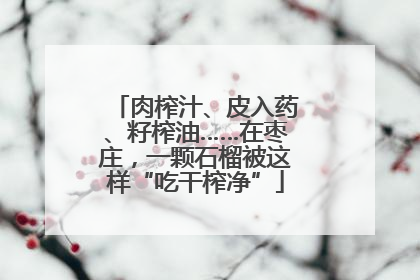 肉榨汁、皮入药、籽榨油……在枣庄，一颗石榴被这样“吃干榨净”