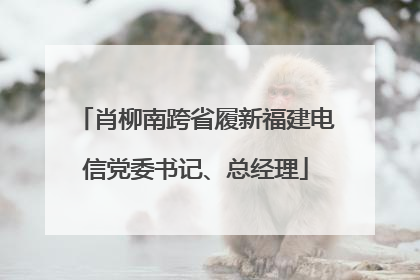 肖柳南跨省履新福建电信党委书记、总经理