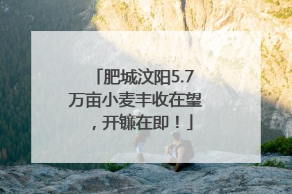 肥城汶阳5.7万亩小麦丰收在望，开镰在即！