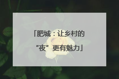 肥城：让乡村的“夜”更有魅力