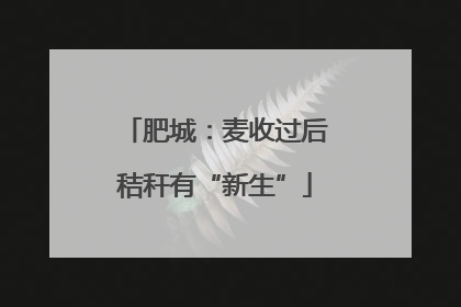 肥城：麦收过后秸秆有“新生”