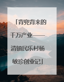 背兜背来的千万产业——清镇民乐村杨敏珍创业记