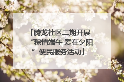 腾龙社区二期开展 “粽情端午 爱在夕阳”便民服务活动