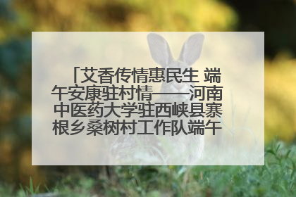 艾香传情惠民生 端午安康驻村情——河南中医药大学驻西峡县寨根乡桑树村工作队端午中医惠民记