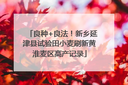 良种+良法！新乡延津县试验田小麦刷新黄淮麦区高产记录