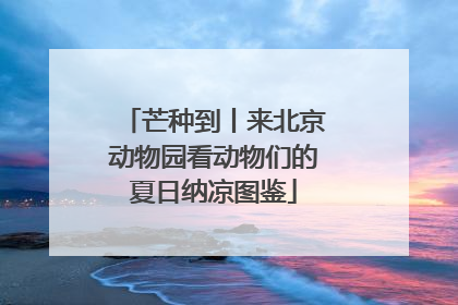 芒种到丨来北京动物园看动物们的夏日纳凉图鉴