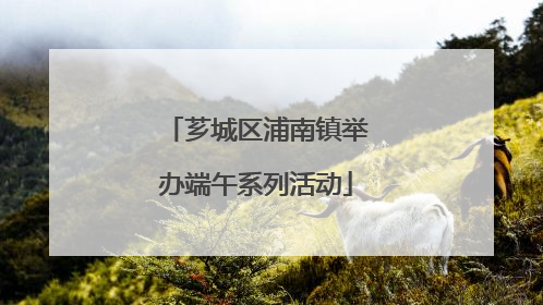 芗城区浦南镇举办端午系列活动