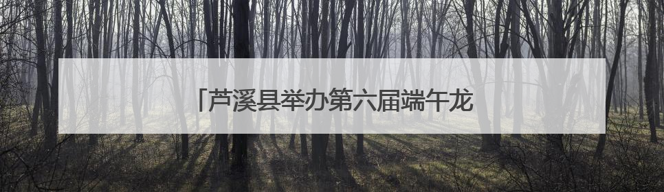 芦溪县举办第六届端午龙舟文化旅游活动（图）