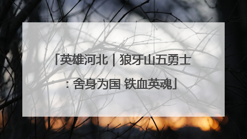 英雄河北｜狼牙山五勇士：舍身为国 铁血英魂