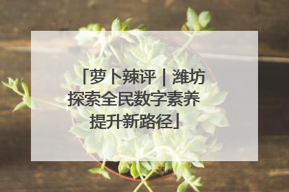 萝卜辣评｜潍坊探索全民数字素养提升新路径